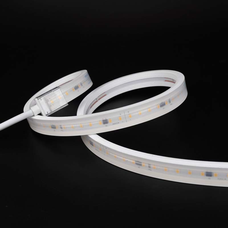 AC1607 Silicone Neon strip